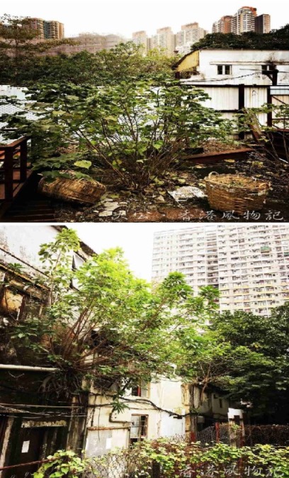 香港市区内最后一个围村